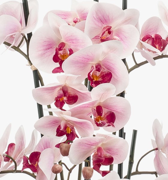 Künstliche Orchidee Phalaenopsis mit rosa und weißen Blüten sowie grünen Stielen.