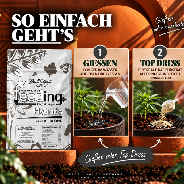 Anleitung zur Anwendung von Green House Powder Feeding Hybrids Pflanzendünger durch Gießen oder Einarbeiten in das Substrat.