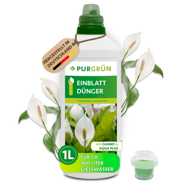 Eine Flasche Purgrün Einblatt Dünger mit Guano und Aqua Plus für vierhundert Liter Gießwasser, inklusive Messbecher.