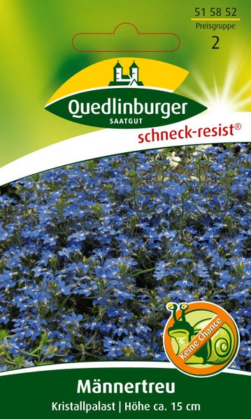 Quedlinburger Saatgut Logo, Samen für Männertreu Kristallpalast, schneckenresistent, Wuchshöhe circa 15 Zentimeter.