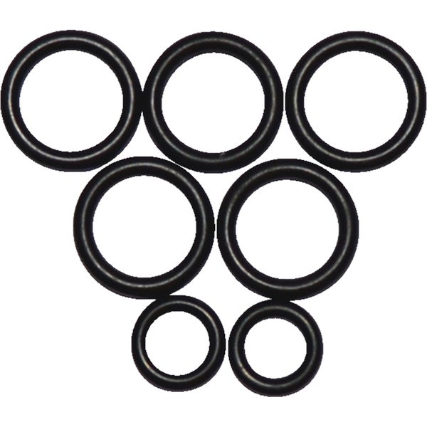 Informationen zum Rotahorn, inklusive Pflanzenpass, Artikelnummer und Details zur Anzucht.