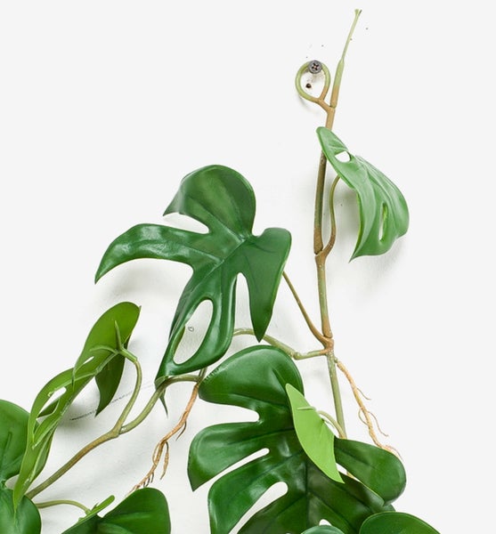 Künstliche Clematis-Samenstände mit drei gefiederten Blütenköpfen und grünen Stielen.