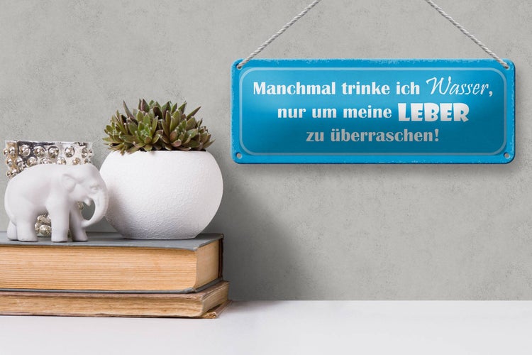 Blechschild Spruch 27x10cm manchmal trinke Wasser um Leber Dekoration