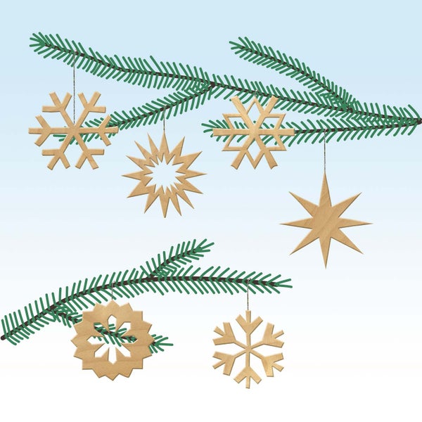 Nahaufnahme von Geranienblüten