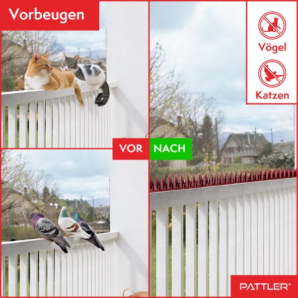 PATTLER® Vogelabwehr aus Robustem Kunststoff | Taubenabwehr für Balkon, Dach, Fensterbank, Zaun | Vogelabwehr & Taubenschreck | Taubenabwehr Spikes - 12 STÜCK x 43cm (Gesamtlänge 5.16 Meter)