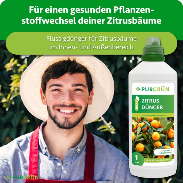 Purgrün Bio Zitrusdünger Flüssigdünger für Zitruspflanzen in der 1 Liter Flasche für Innen- und Außenbereich.