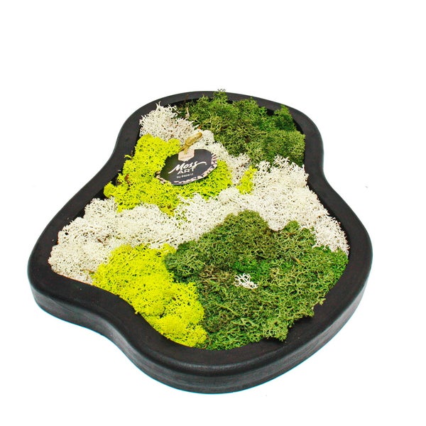 Gartenschirm mit einem Durchmesser von 266 cm und einer Höhe von 248,5 cm, Mastdurchmesser 3,8 cm