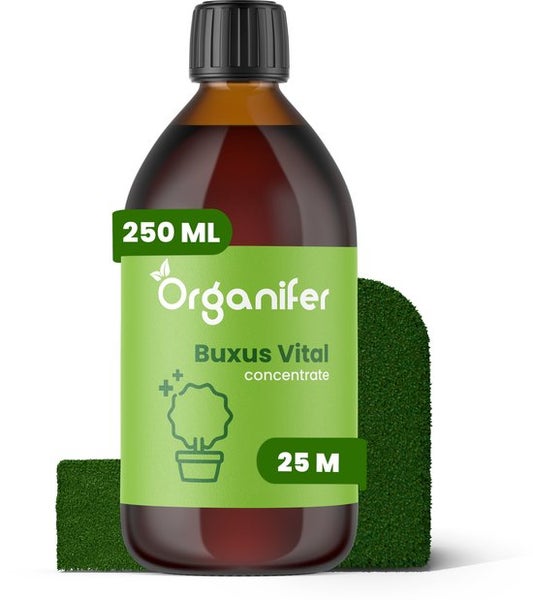 Buxus Vital 250 ml - Konzentrat für 25 Meter Hecke - Organifer