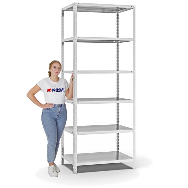 PROREGAL Fachbodenregal Schraubsystem Light-Duty Grundregal HxBxT 250 x 100 x 60 cm 6 Ebenen Fachlast 125 kg Beidseitig Nutzbar Lichtgrau