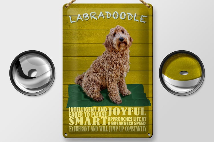 Blechschild Spruch 20x30cm Labradoodle Hund will jump up