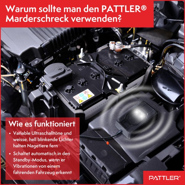 PATTLER® Marderschreck Auto mit Blitzlicht - Flexible Stromversorgung - 12V Autobatterie, AA-Batterie oder USB - Effektiver Marderschutz für Auto, Garten, Dachboden - 1 Stück
