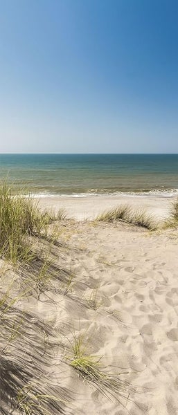 Landschaftsfoto von Sand, Gras, Meer und Himmel