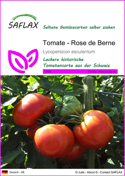 SAFLAX  - Tomate - Rose de Berne - Lycopersicon esculentum - 10 Samen