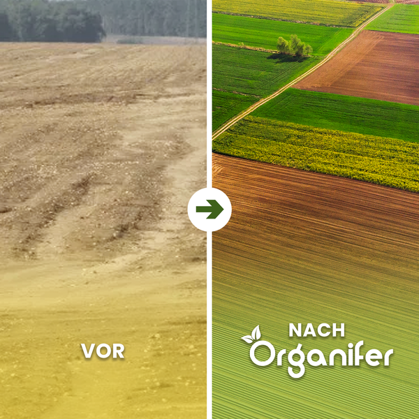 Vorher-nachher-Ansicht eines Ackers mit Organifer