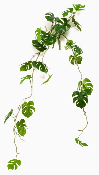 Künstliche Monstera-Ranke mit grünen, geschlitzten Blättern für die Wanddekoration.
