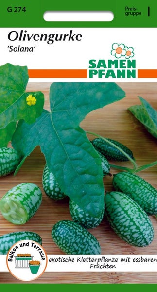 Samen Pfann Olivengurke Solana für Balkon und Terrasse