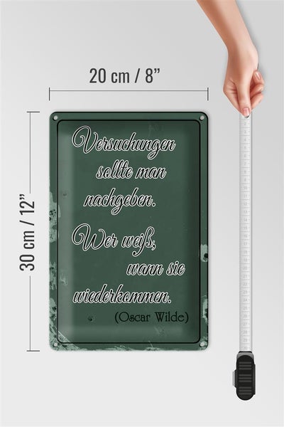 Blechschild Spruch 20x30cm Versuchungen soll man nachgeben