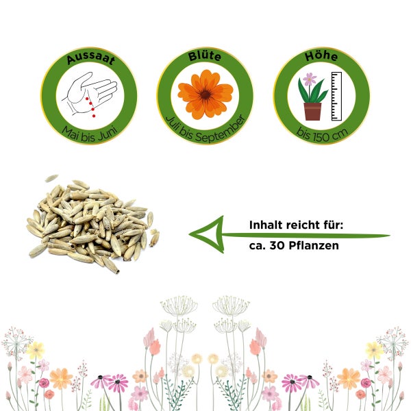 Kugeldistel Samen von Deine Gartenwelt