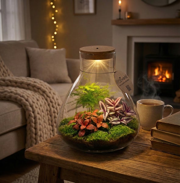 EcoWorld Pflanzenterrarium im Glas mit LED-Beleuchtung im Korkdeckel auf einem Holztisch in einem hellen, wohnlichen Zimmer mit Kamin und Sofa.