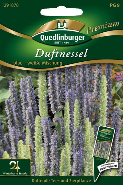 Quedlinburger Logo, Samentüte mit winterharter Duftnessel, blau-weiße Mischung, für Tee- und Zierzwecke geeignet.