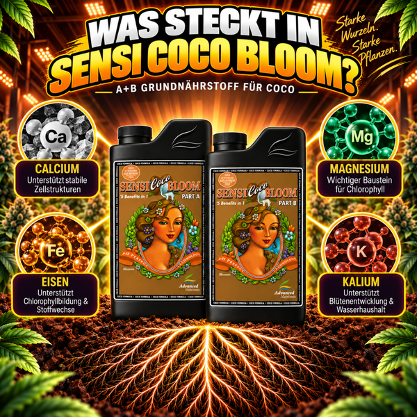 Sensi Coco Bloom A und B Grundnährstoff für Pflanzen mit Inhaltsstoffen wie Calcium, Magnesium, Eisen und Kalium zur Stärkung der Wurzeln.