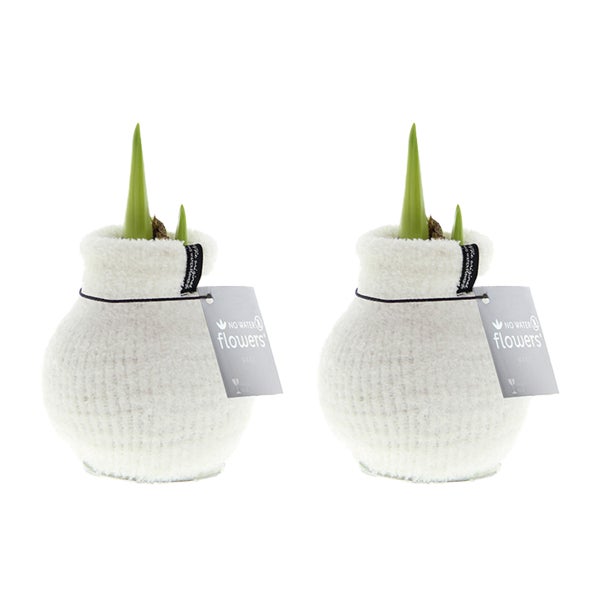 Kinderzimmer mit Wandtattoo, Sitzsäcken, Spielzeugregal und Spielzeug