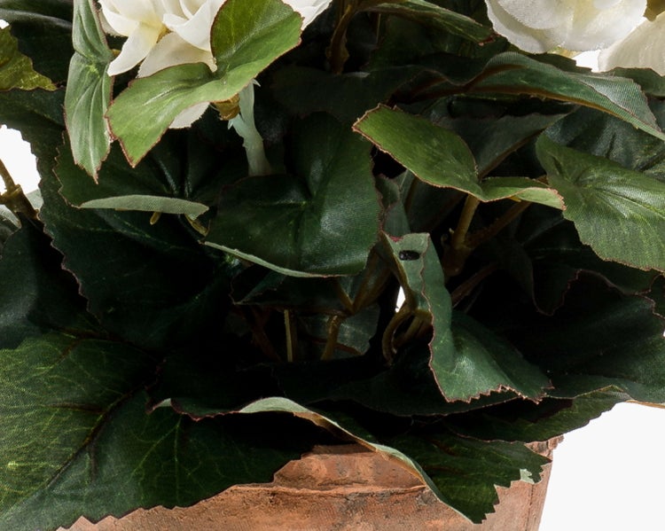 Kunstblume Begonie DOBRADA im Terracottatopf, Creme, 25cm - Deko Buntnessel