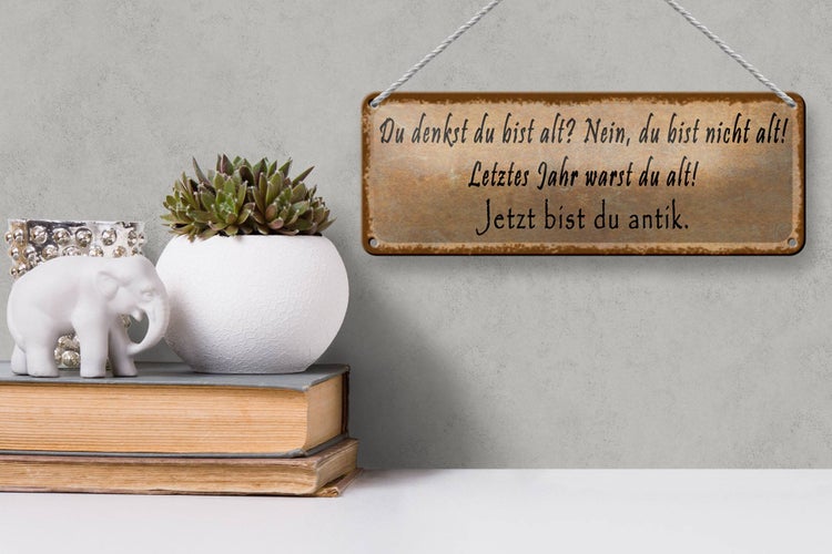 Blechschild Spruch 27x10cm du denkst du bist alt nein bist Dekoration