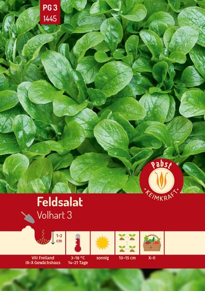 Feldsalat Volhart 3 Samen, Pabst Keimkraft Logo. Abbildung grüner Blätter mit Symbolen für Aussaatzeit, Saattiefe, Standort und Erntezeit.