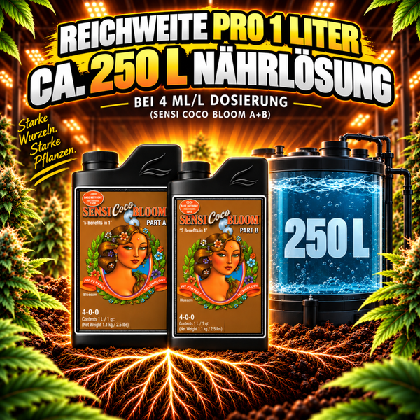 Zwei Flaschen Sensi Coco Bloom Pflanzendünger Teil A und B mit Informationen zur Ergiebigkeit von zweihundertfünfzig Litern Nährlösung.