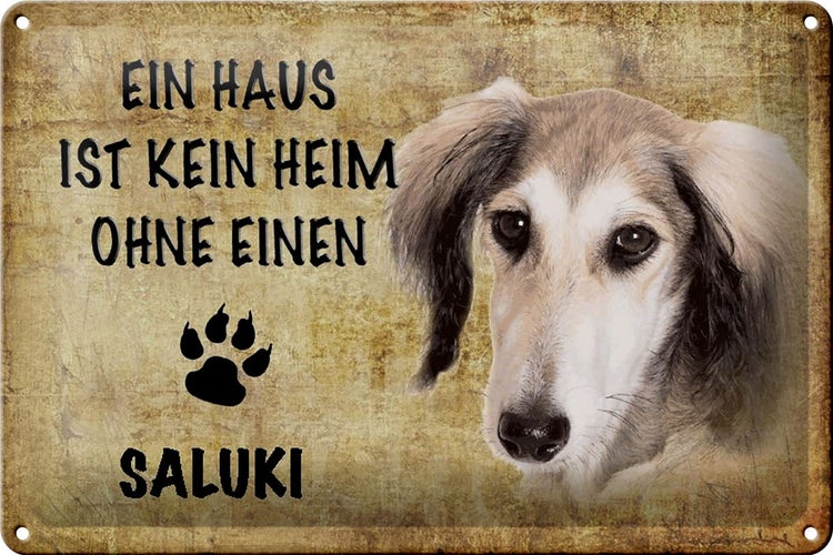 Blechschild Spruch 30x20cm Saluki Hund ohne kein Heim