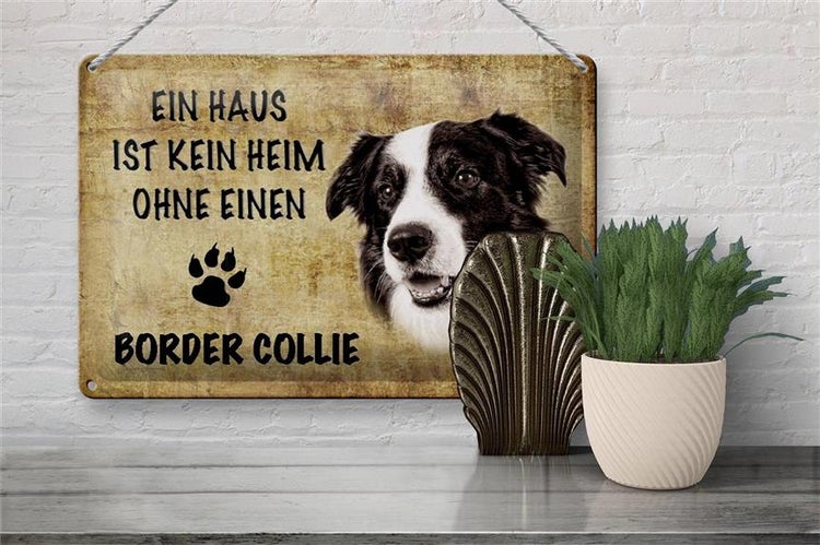 Blechschild Spruch 30x20cm Border Collie Hund ohne kein Heim