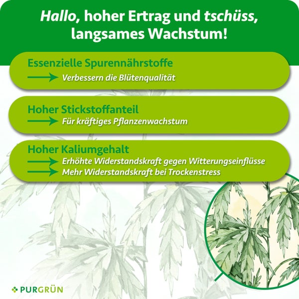 Infografik zeigt Vorteile von Purgrün Dünger mit Nährstoffen wie Stickstoff und Kalium für kräftiges Pflanzenwachstum und erhöhte Widerstandskraft.