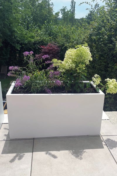 Rechteckiger weißer Pflanzkasten auf einer Terrasse, bepflanzt mit lila und hellgrünen Blumen.