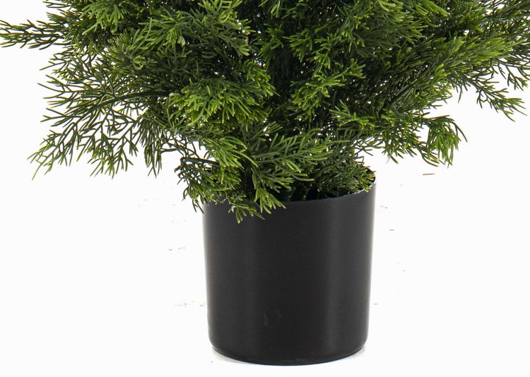 Künstliche Pflanze Zeder im schwarzen Kunststofftopf, naturgetreue Innendekoration.