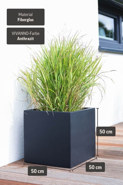 Quadratischer Pflanzkübel aus Fiberglas in Anthrazit, 50 mal 50 mal 50 Zentimeter, bepflanzt mit Ziergras auf einer Holzterrasse.