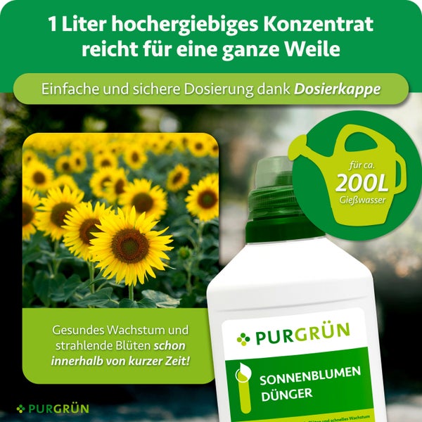 Purgrün Sonnenblumendünger Konzentrat 1 Liter Flasche mit Dosierkappe für gesundes Wachstum und prächtige Blüten für bis zu 200 Liter Gießwasser
