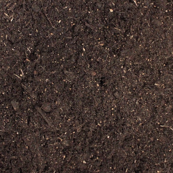 Nahaufnahme von feinkörniger Blumenerde mit organischen Bestandteilen und kleinen weißen Mineralpartikeln.