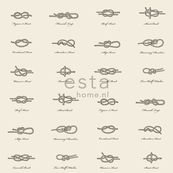 Darstellung verschiedener Knotentypen mit den Bezeichnungen Achterknoten, Flämische Schleife, Kreuzknoten, Schotstek, Überhandknoten, Stopperknoten, Slipknoten, Running Bowline, Weberknoten, Bootsmannsknoten, Carrick Bend und Zwei halbe Schläge