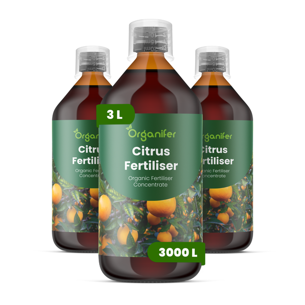 Organifer Eukalyptus-Dünger organisches Flüssigkonzentrat, fünf Flaschen, 5 Liter Konzentrat für 5000 Liter Düngemittel.