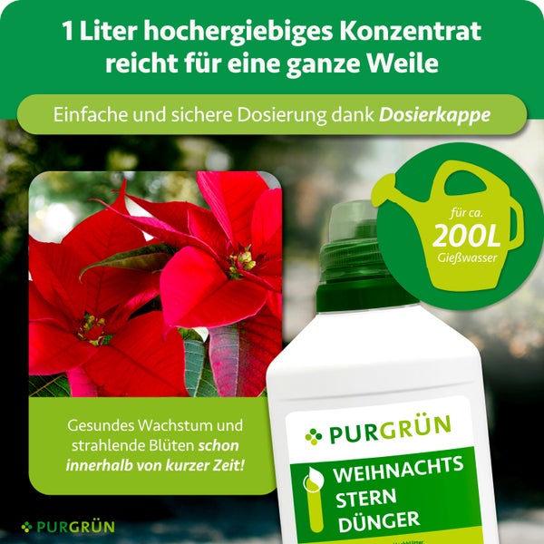 Anwendung Purgrün Dünger: 5 Milliliter Konzentrat mit 1 Liter Wasser verdünnen. Zeitraum November bis August alle 2 bis 3 Wochen. Purgrün Logo.