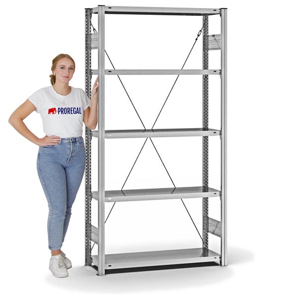 PROREGAL Fachbodenregal Stecksystem T-Profil Medium-Duty Grundregal HxBxT 200 x 100 x 30 cm 5 Ebenen Fachlast 220 kg Einseitig Nutzbar Verzinkt