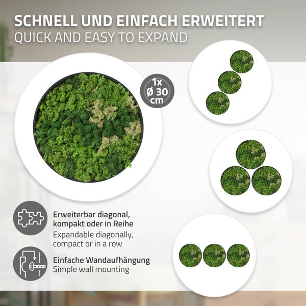 Rundes Wandbild aus konserviertem Moos mit 30 Zentimeter Durchmesser, erweiterbar in verschiedenen Anordnungen zur einfachen Wandmontage.
