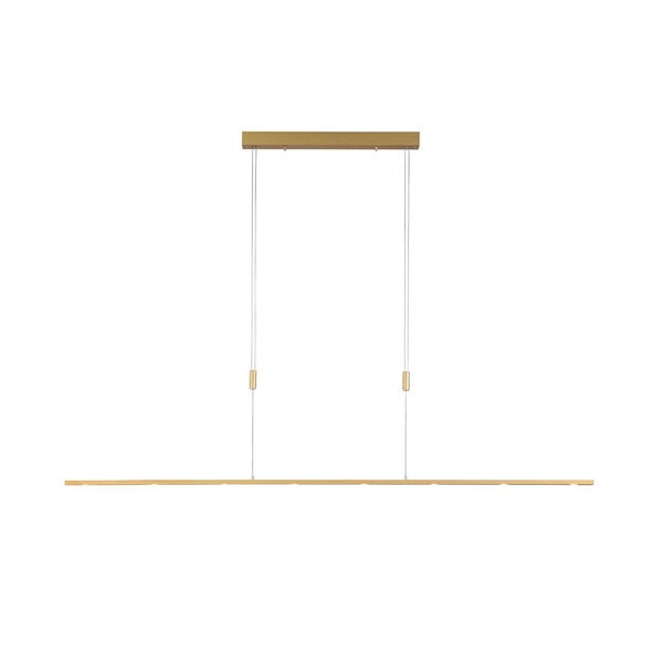 Blauer Leitz Ordner auf einem Metallregal