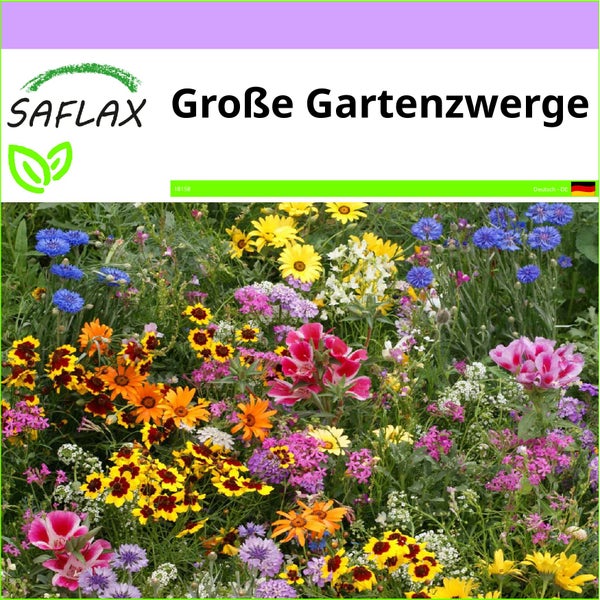 SAFLAX  - Große Gartenzwerge - Mix - 1000 Samen