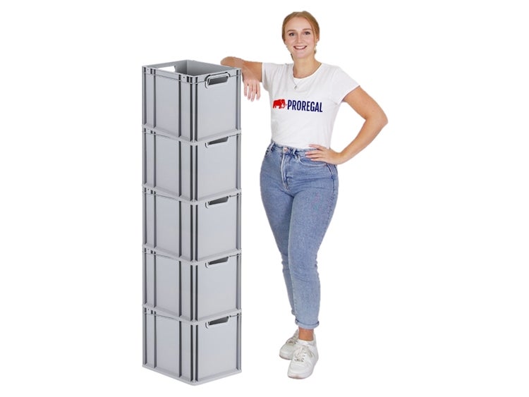 PROREGAL Spar Set 5x Eurobox Nextgen Economy Griffe Offen HxBxT 32 x 30 x 40 cm 30 Liter Eurobehälter Transportbox Transportbehälter