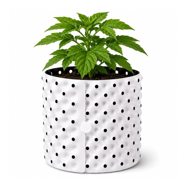Grüne Pflanze in einem weißen Air-Pot Pflanztopf mit Löchern zur Wurzelbelüftung.