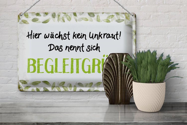 Blechschild Spruch 30x20cm wächst kein Unkraut Begleitgrün