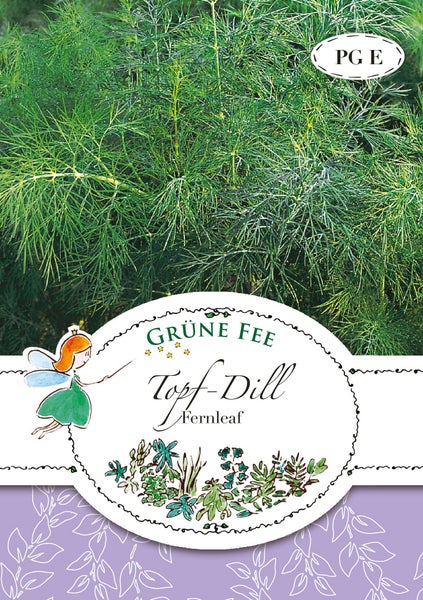 Topf-Dill Fernleaf der Marke Grüne Fee mit fein gefiederten Blättern.