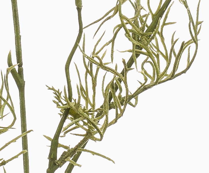 Künstliche Zypresse in Grün, kegelförmig mit Naturstamm in schwarzem Topf.